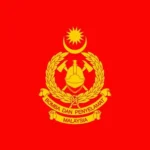 Six escape unharmed after tree crushes cars in Seremban