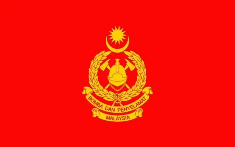 Six escape unharmed after tree crushes cars in Seremban