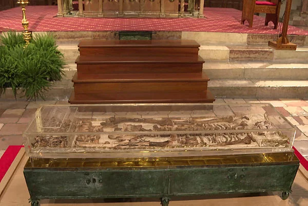 Thousands view St Francis remains in rare public display
