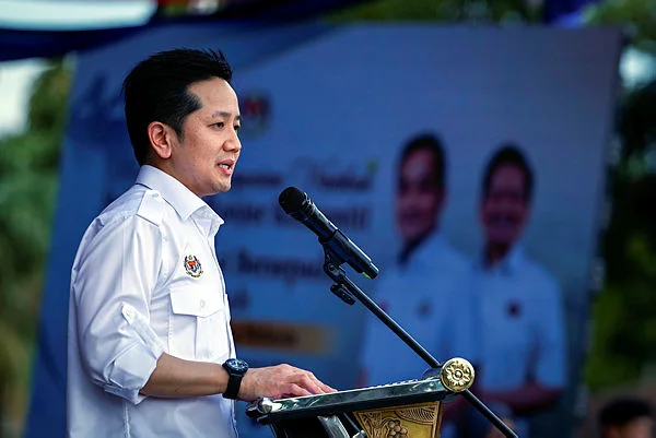 Malaysia monitors welfare of three elephants sent to Japan